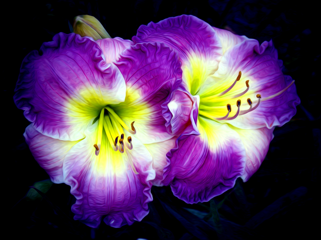 www.jennifersdesign.com/wp-content/uploads/2011/08/Two-Purple-Yellow-Flowers-PB.jpg