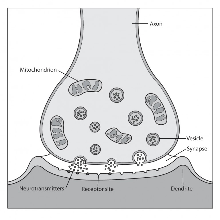 VVRC Illustration